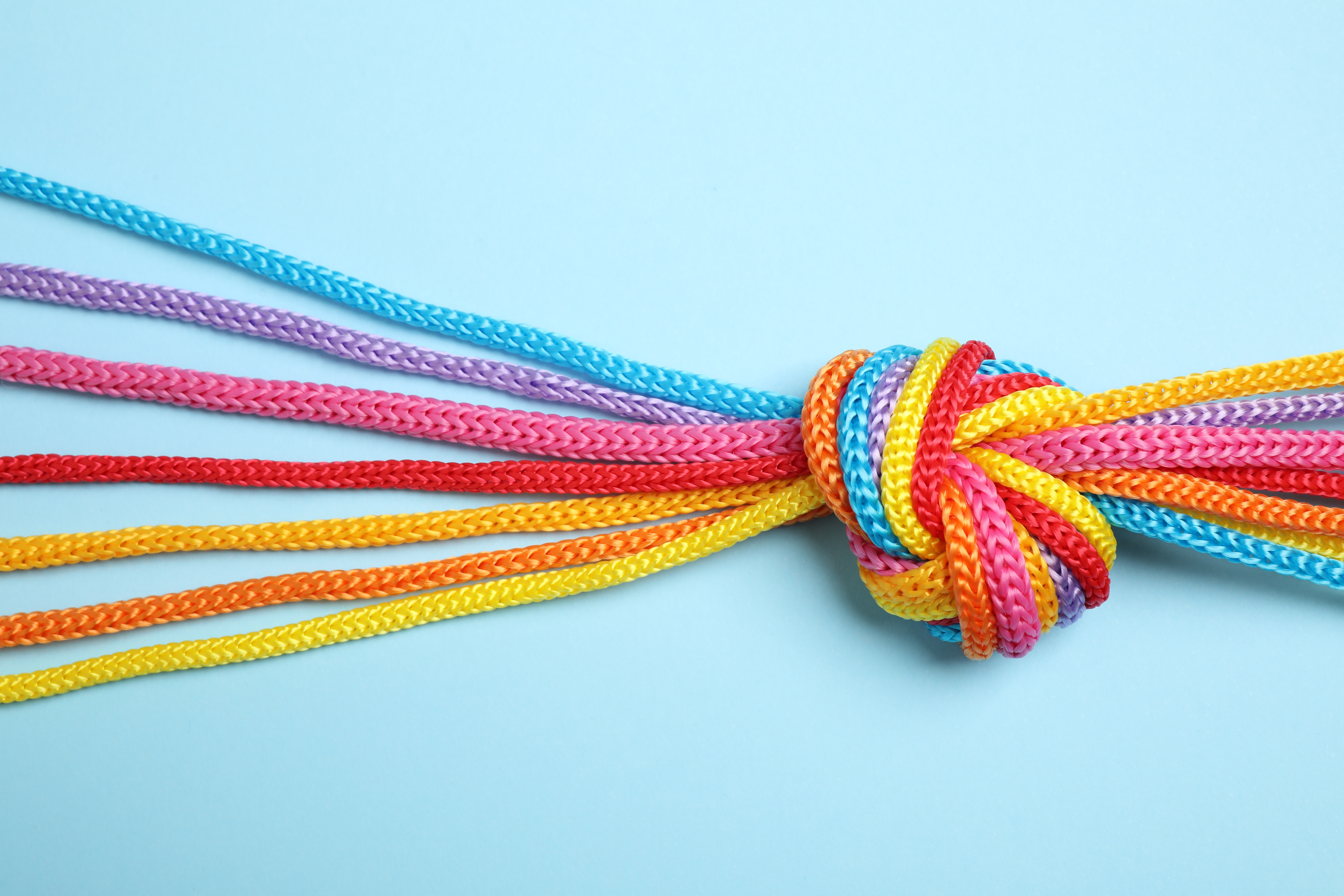 Colorful cords knotted together